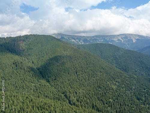 Green mountains of Ukrainian Carpathians in summer. Sunny day, rare clouds. Aerial drone view.