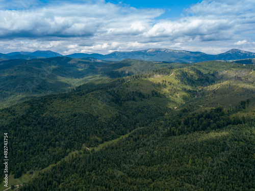 Green mountains of Ukrainian Carpathians in summer. Coniferous trees on the slopes. Aerial drone view.