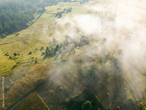 Green mountains of the Ukrainian Carpathians in the morning mist. Aerial drone view. © Sergey