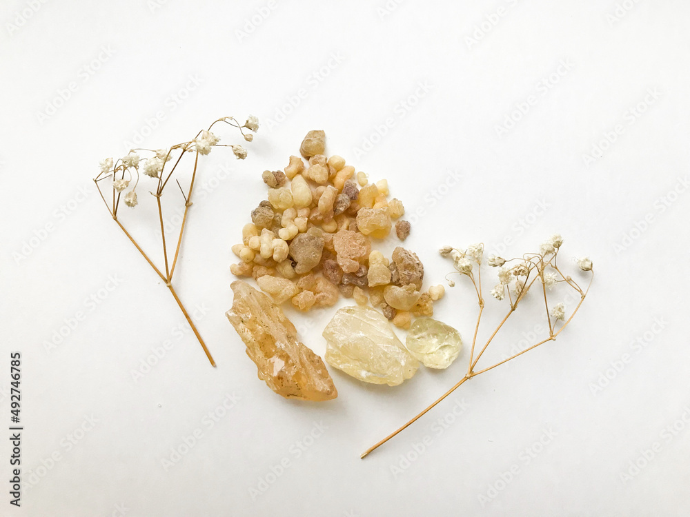 Set of natural resins and twigs of dried flowers , frankincense close-up on a white background	 - obrazy, fototapety, plakaty 