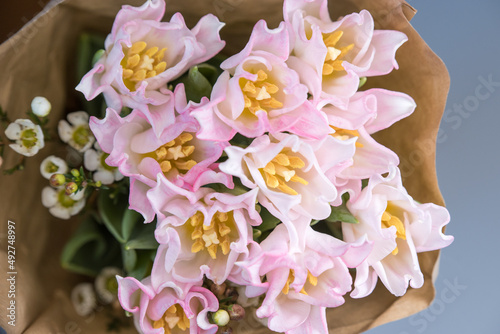 Fresh spring pink tulips on old vintage paper on white background, copy space photo