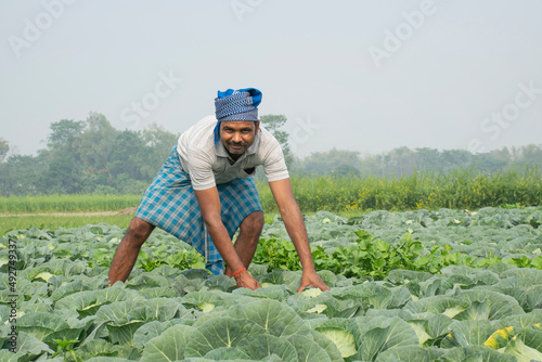 farmer doing agricultural work at field photo