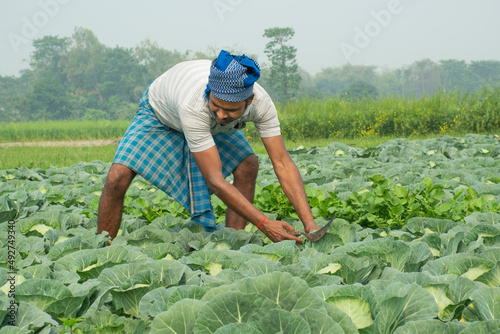 farmer doing agricultural work at field