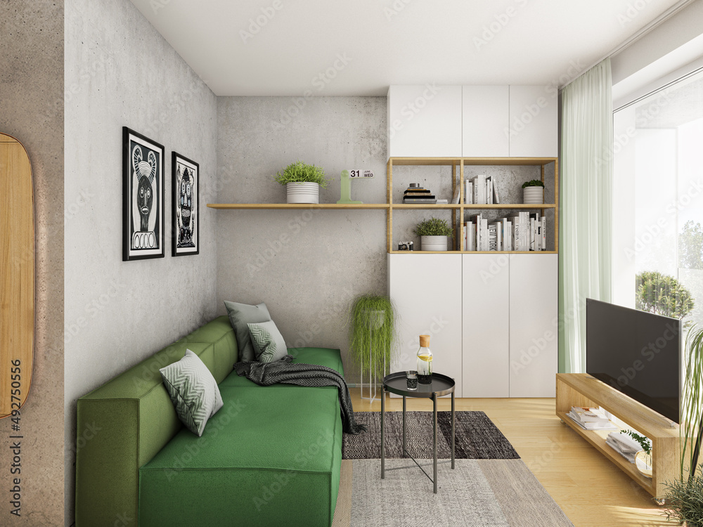 Green Apartment Interior Decorating For Apartments With A Small Living Room