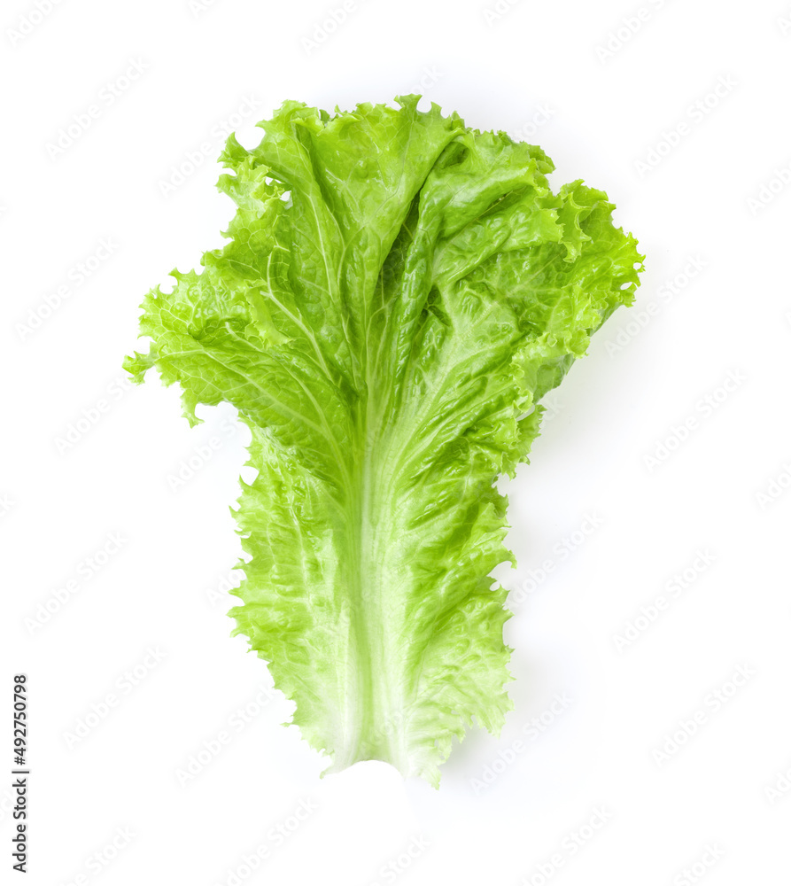 Lettuce leaves isolated on white background Lettuce leaves isolated on white background