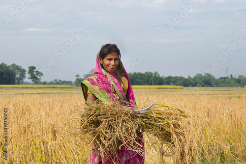 Women cutting paddy in rural india