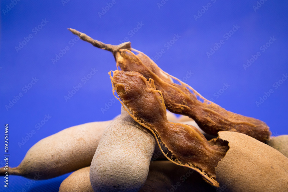 Fototapeta premium Tamarind in a blue background