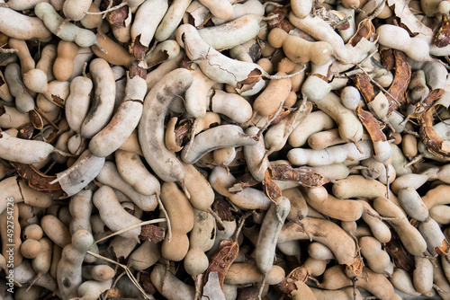 Tamarind harvested from the plant and placed in a stack. photo