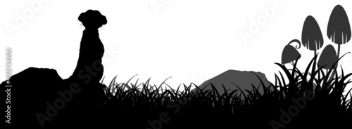 Silhouette animal in nature white background