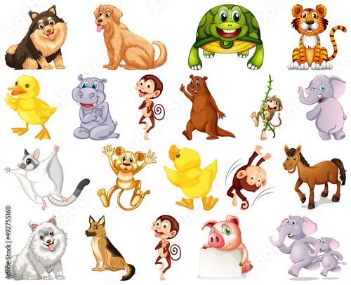 Set of animal cartoon character