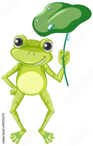 Cartoon frog holding lotus leaf