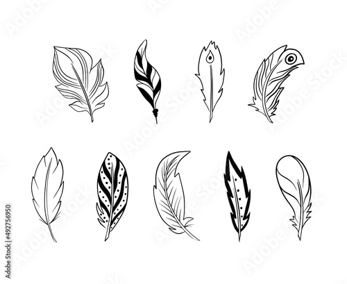 Hand drawn vector illustration bohemian, tribal, ethnic feathers.