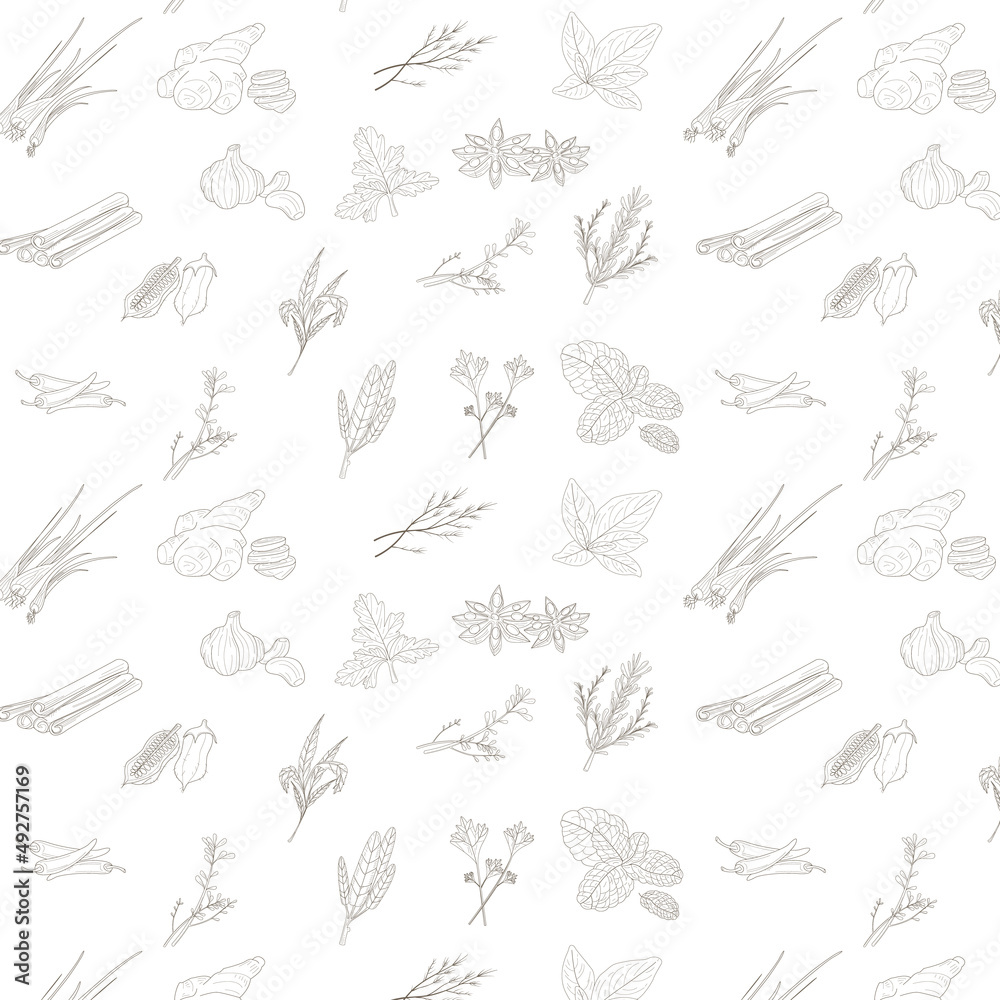 Hand drawn set with herbs and spices. Design elements isolated on white. Cooking icons. Hand drawn set with herbs and spices. Design elements isolated on white. Cooking icons.