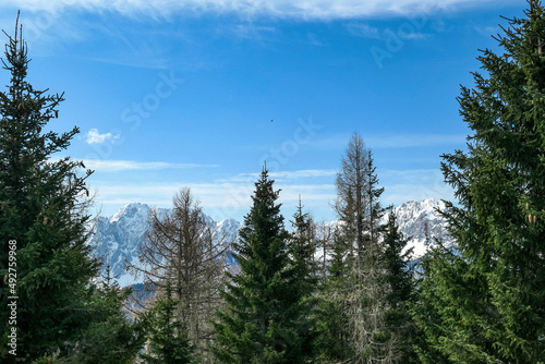 Scenic view of snow capped mountain peaks of Karawanks near Sinacher Gupf in Carinthia, Austria. Mount Wertatscha and Hochstuhl (Stol) is visible through dense forest in early spring. Sunny Rosental