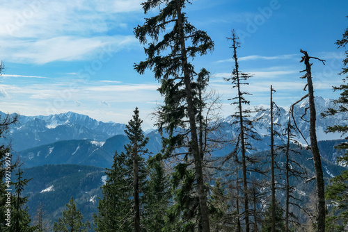 Scenic view of snow capped mountain peaks of Karawanks on the way to Sinacher Gupf in Carinthia, Austria. Mount Wertatscha is visible through dense forest in early spring. Rosental on a sunny day.Hike photo