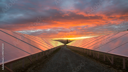 Photovoltaic farm on a green field