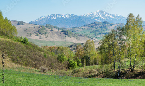 View of mountains in early summer, greenery of forests and meadows, snow on the peaks