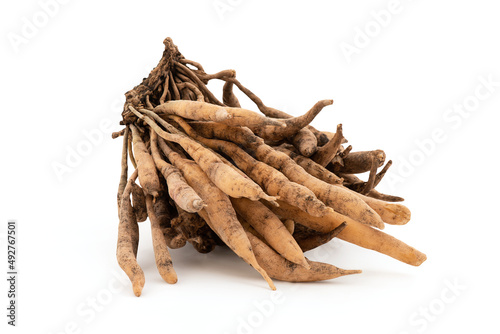 Shatavari or Asparagus racemosus roots isolated on white background with clipping path.
