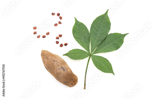 Carta da parati Baobab fruits,seeds and green leaves isolated on white background