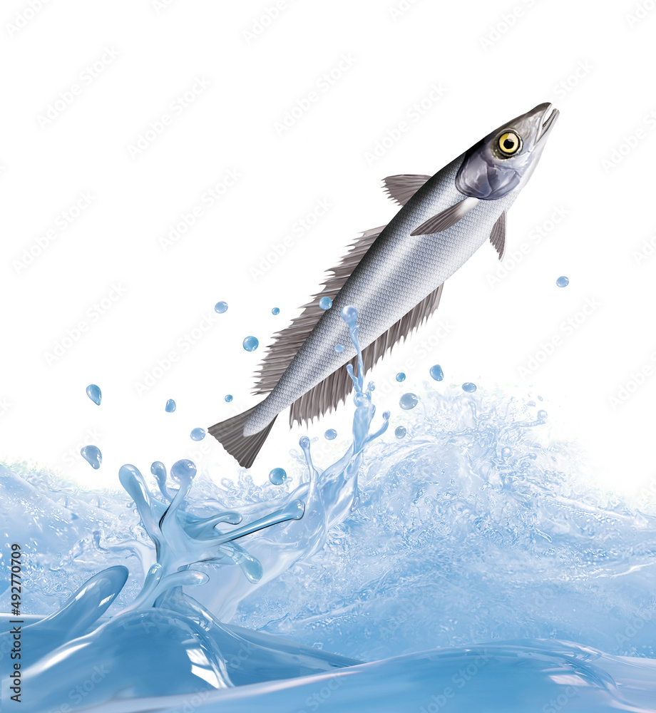poisson, merlu, animal, isolé, bulle, congelé, comestible, sauter, frais, glacé,