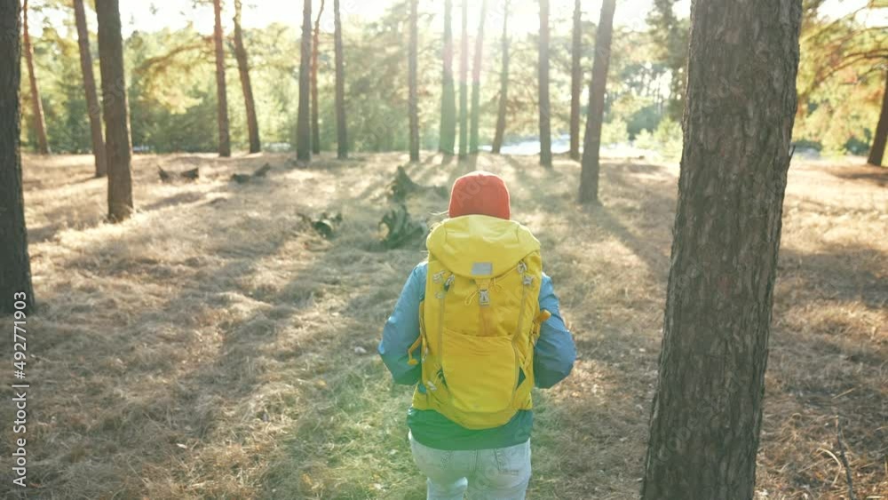 hipster woman hiker in forest a park. adventure travel ecotourism lifestyle concept. hiker tourist with backpack. hipster woman with tourist backpack green pine trees. travel forest park nature hipster woman hiker in forest a park. adventure travel ecotourism lifestyle concept. hiker tourist with backpack. hipster woman with tourist backpack green pine trees. travel forest park nature