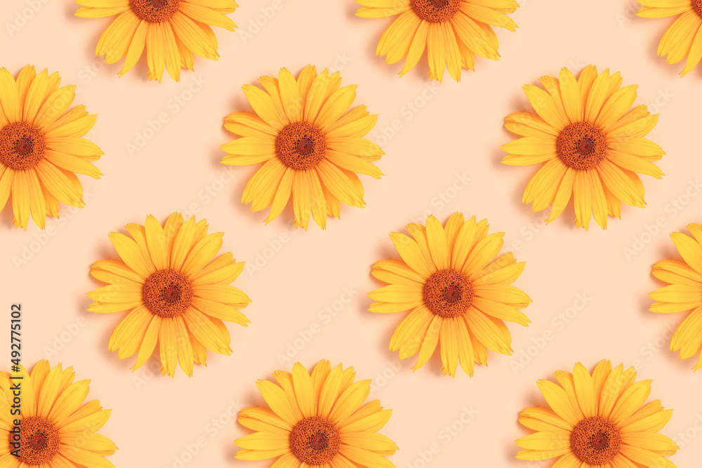 Repetitive pattern made of orange arnica flower heads on a beige background. Creative layout. Repetitive pattern made of orange arnica flower heads on a beige background. Creative layout.