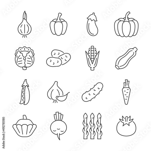 Vegetable line icon set. Salad ingredient vector sign. Editable stroke.