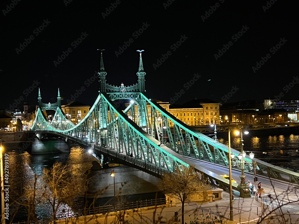 Obraz premium bridge at night