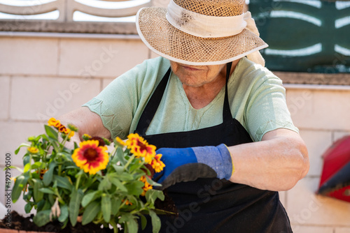 An 80 year old woman preparing her garden.