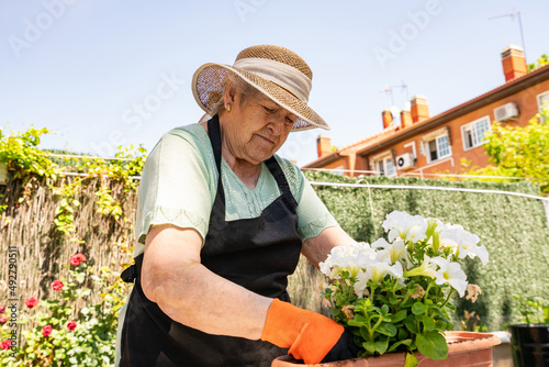 An 80 year old woman preparing her garden.