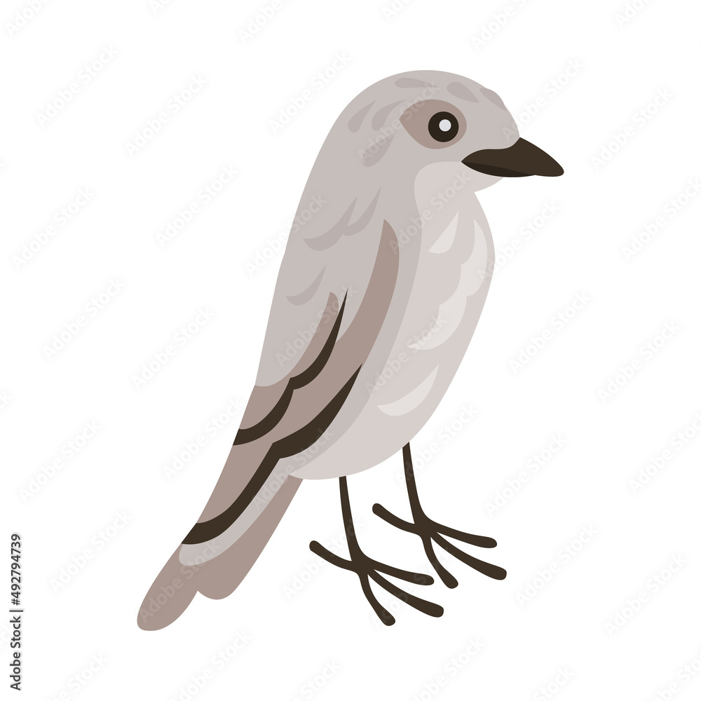 Fototapeta premium White Bellbird Isometric Composition