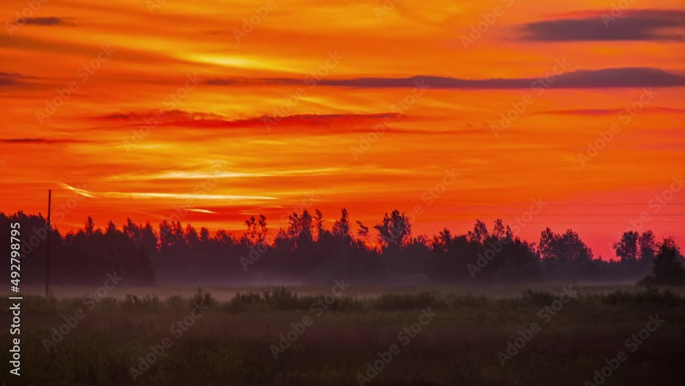Forest silhouetted by fiery orange sunset. Dramatic nature landscape Forest silhouetted by fiery orange sunset. Dramatic nature landscape