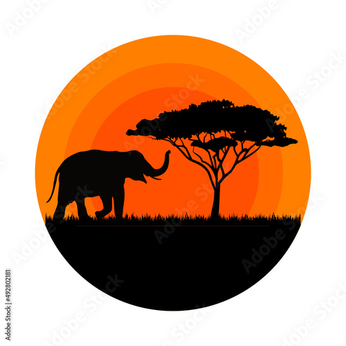 elephant safari logo