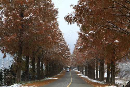 winter
