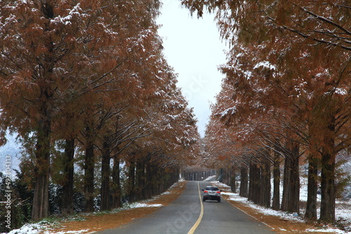 winter