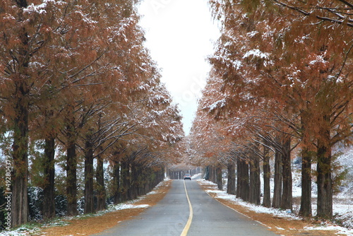 winter