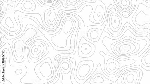 Topographic map background. Grid map. Pattern of contour lines. geographic grid abstract vector illustration