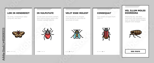 Insect, Spider And Bug Wildlife Onboarding Mobile App Page Screen Vector. Dragonfly And Butterfly, Ladybug And Cockroach, Grasshopper And Bumblebee, Mosquito And Caterpillar Insect . Illustrations