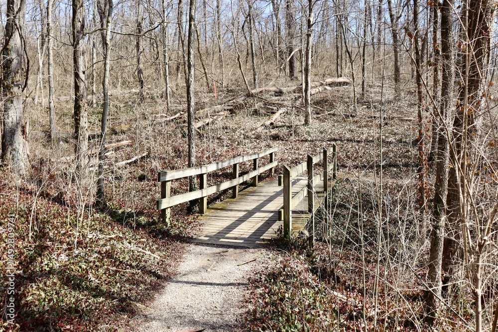 Front view of the wood bridge on the trail in the forest.