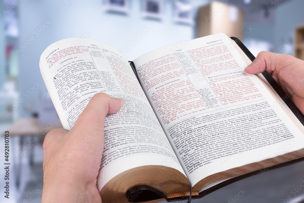 Naklejka premium A dictionary. Dictionary pages and items. translation, Education and learning foreign language.