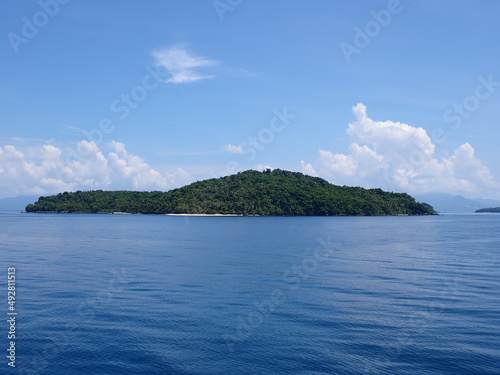 A small uninhabited island covered with green plants in the middle of a calm ocean.
