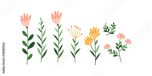 collection of floral elements. set of vector plants. floral decor isolated on blom background.