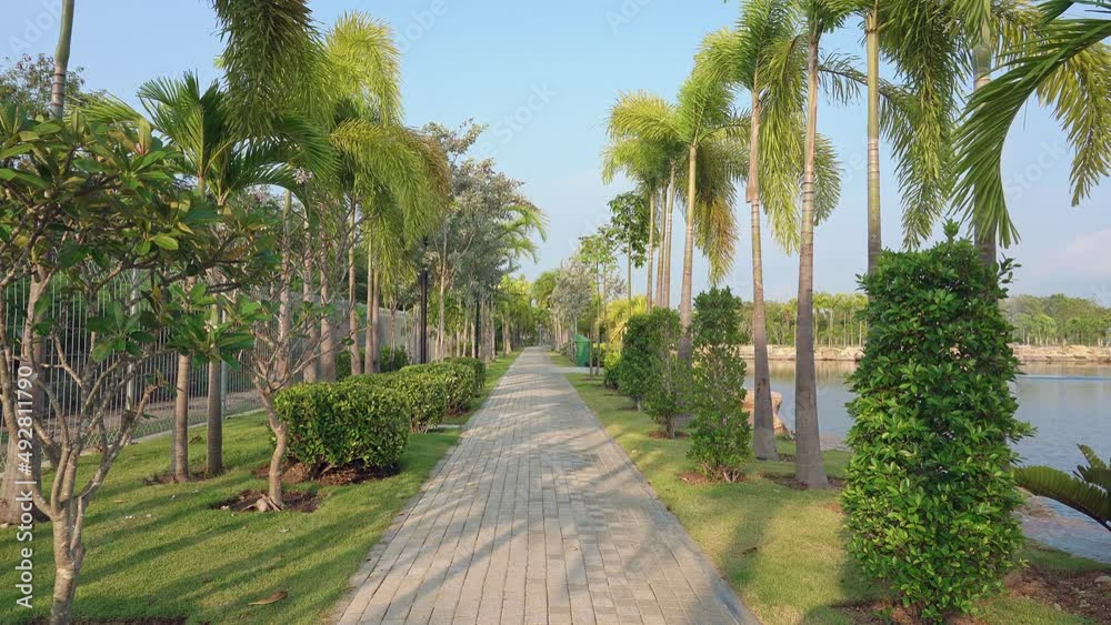 Stone path among palm trees along the pond. Stone path among palm trees along the pond.