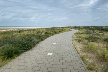 Foto auf Acrylglas Nordsee Radweg entlang Nordseestrand und Dünen in Kijkduin, Niederlande  © A. Emson