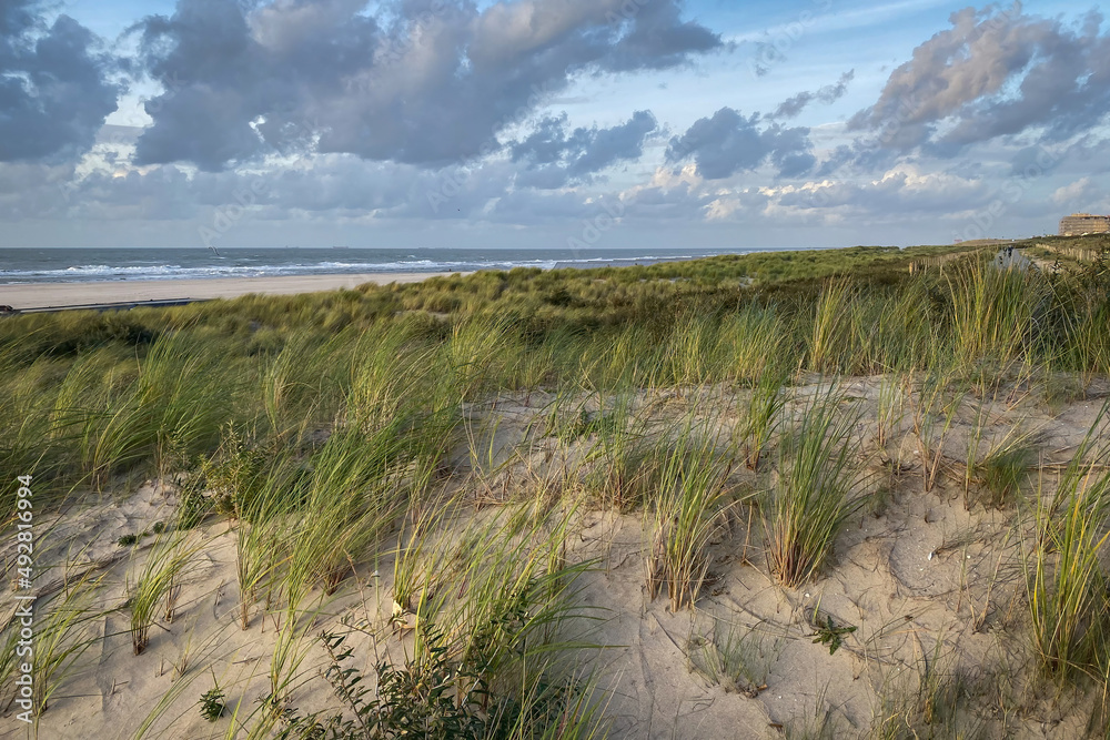 North Sea beach and dunes in Kijkduin, the Netherlands