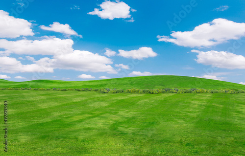 green field and blue sky with light clouds Image of green grass field and bright blue sky. Plain landscape background for summer poster.