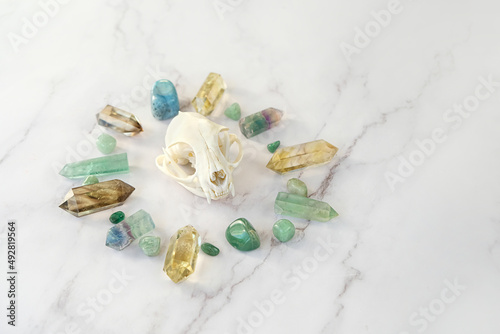 Gemstones minerals and animal skull on abstract marble background. Quartz stones set for healing esoteric Crystal ritual, spiritual Magic practice, relaxation, meditation