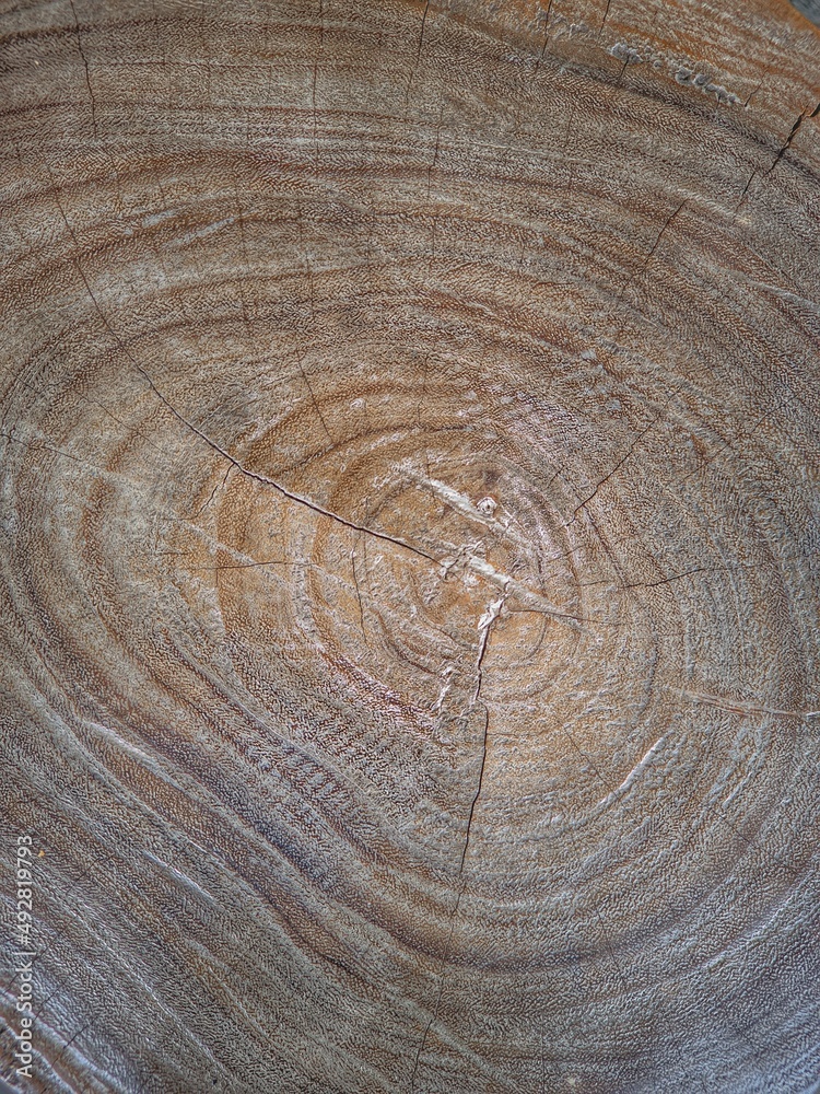 Naklejka premium texture background