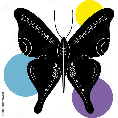 artistic butterfly illustration