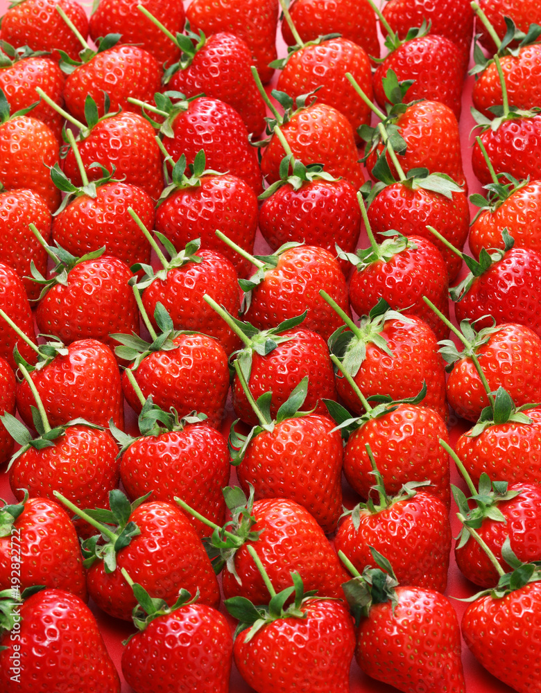 Beautiful freshly picked strawberries, long stem Beautiful freshly picked strawberries, long stem